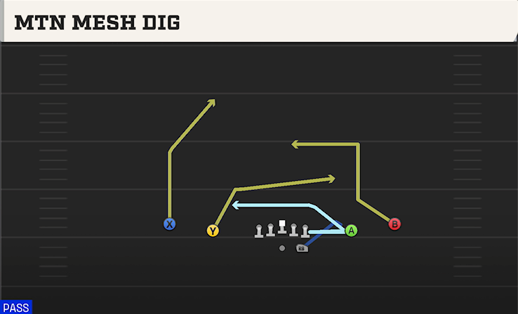 MTN MESH DIG play diagram College Football 27