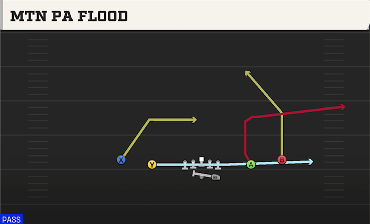 MTN PA FLOOD play diagram College Football 27