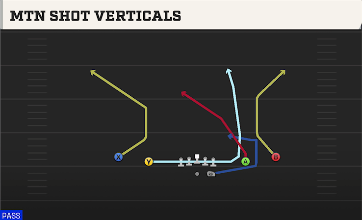 MTN SHOT VERTICALS play diagram College Football 27