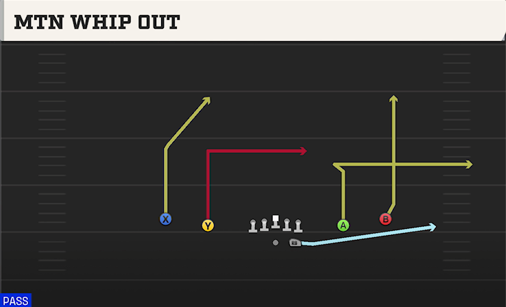 MTN WHIP OUT play diagram College Football 27