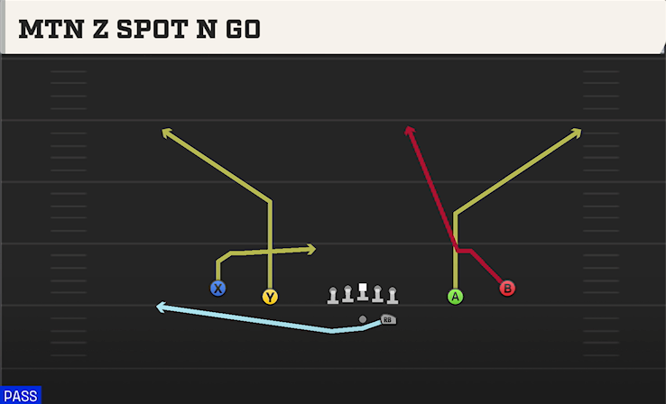 MTN Z SPOT N GO play diagram College Football 27