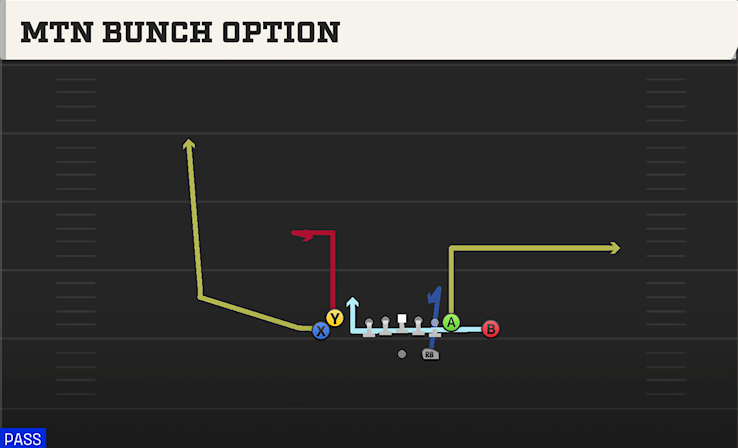 MTN BUNCH OPTION play diagram College Football 27