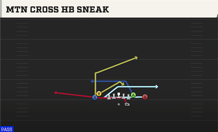 MTN CROSS HB SNEAK play diagram College Football 27