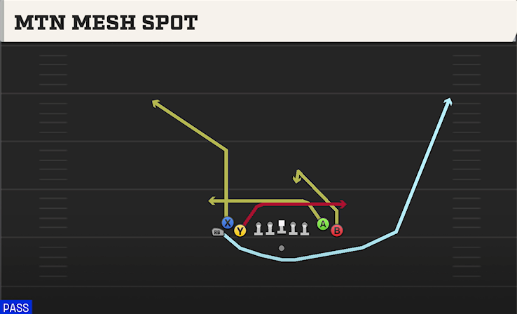 MTN MESH SPOT play diagram College Football 27