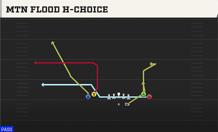 MTN FLOOD H-CHOICE play diagram College Football 27
