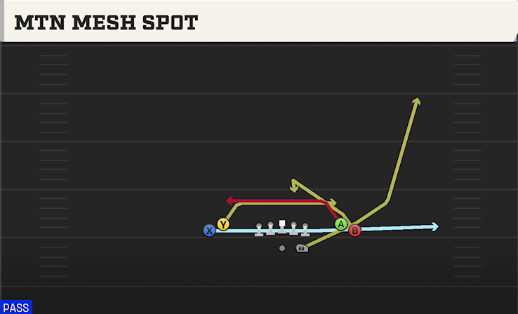 MTN MESH SPOT play diagram College Football 27