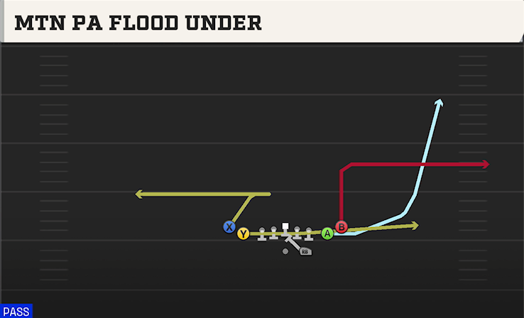 MTN PA FLOOD UNDER play diagram College Football 27