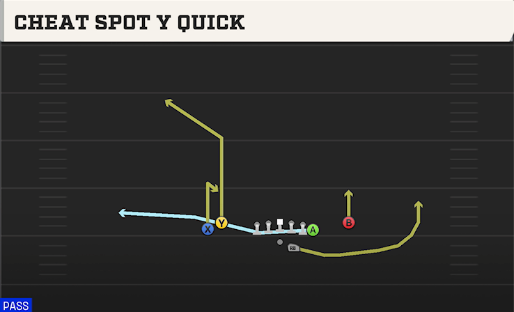CHEAT SPOT Y QUICK play diagram College Football 27