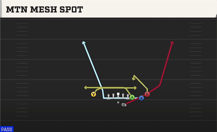 MTN MESH SPOT play diagram College Football 27