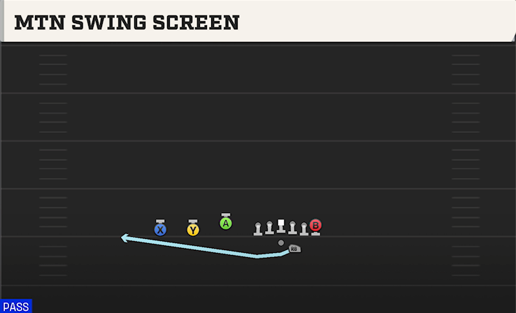 MTN SWING SCREEN play diagram College Football 27