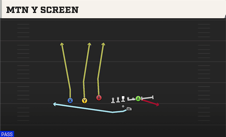 MTN Y SCREEN play diagram College Football 27