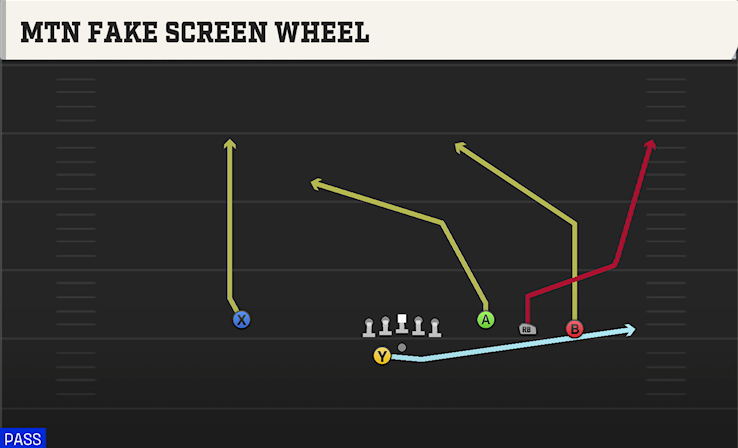 MTN FAKE SCREEN WHEEL play diagram College Football 27
