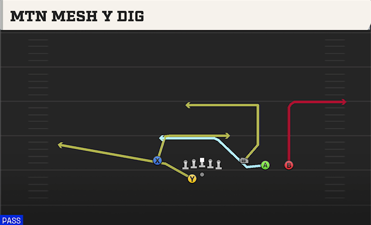 MTN MESH Y DIG play diagram College Football 27