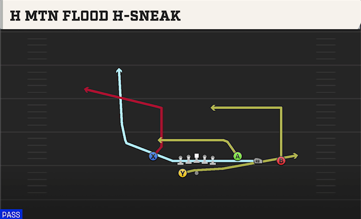 H MTN FLOOD H-SNEAK play diagram College Football 27