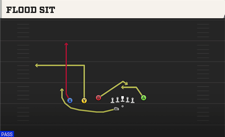 FLOOD SIT play diagram College Football 27