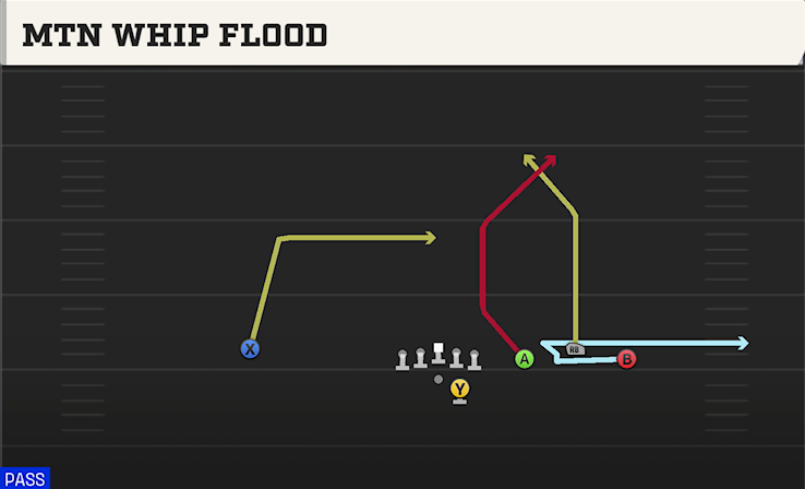 MTN WHIP FLOOD play diagram College Football 27