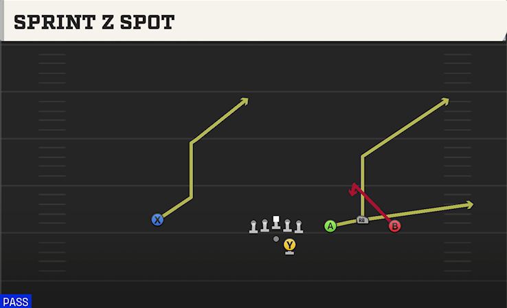 SPRINT Z SPOT play diagram College Football 27