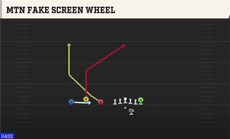 MTN FAKE SCREEN WHEEL play diagram College Football 27