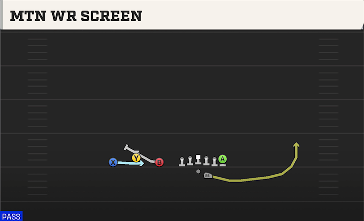 MTN WR SCREEN play diagram College Football 27