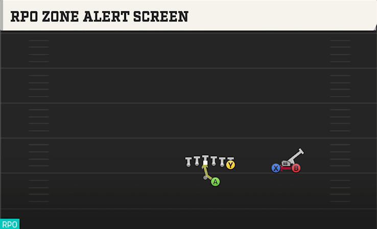 RPO ZONE ALERT SCREEN play diagram College Football 27