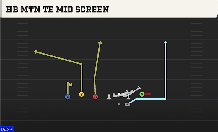 HB MTN TE MID SCREEN play diagram College Football 27