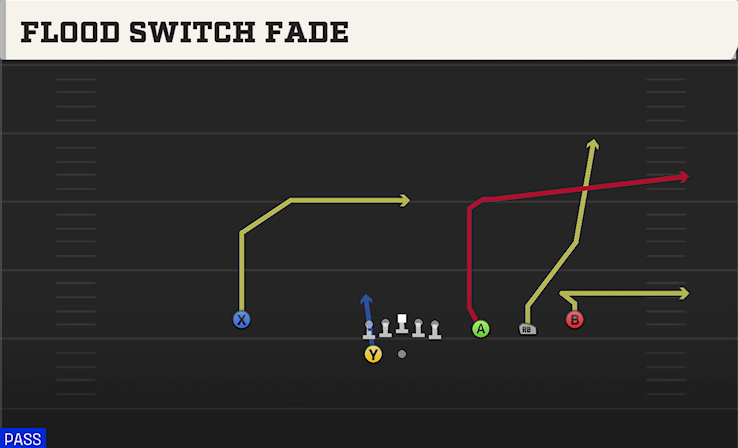 FLOOD SWITCH FADE play diagram College Football 27
