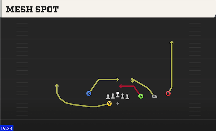 MESH SPOT play diagram College Football 27