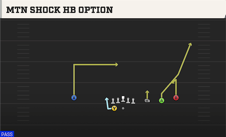 MTN SHOCK HB OPTION play diagram College Football 27