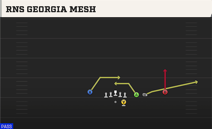 RNS GEORGIA MESH play diagram College Football 27