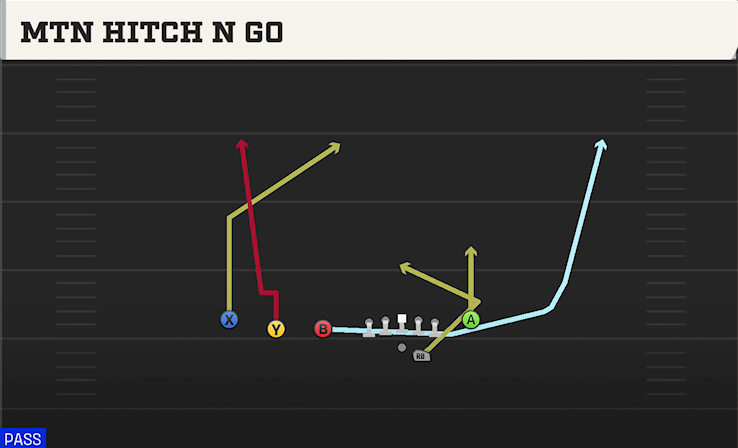 MTN HITCH N GO play diagram College Football 27