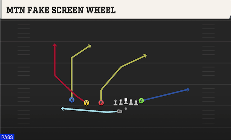 MTN FAKE SCREEN WHEEL play diagram College Football 27