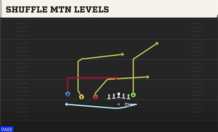 SHUFFLE MTN LEVELS play diagram College Football 27