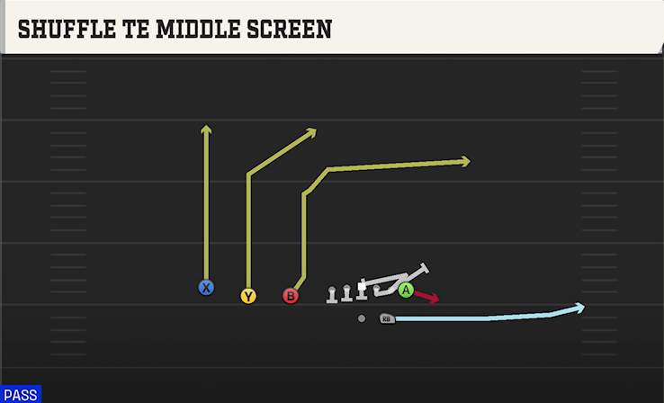 SHUFFLE TE MIDDLE SCREEN play diagram College Football 27
