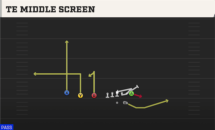 TE MIDDLE SCREEN play diagram College Football 27