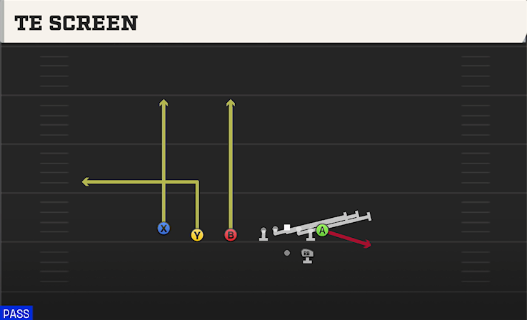 TE SCREEN play diagram College Football 27