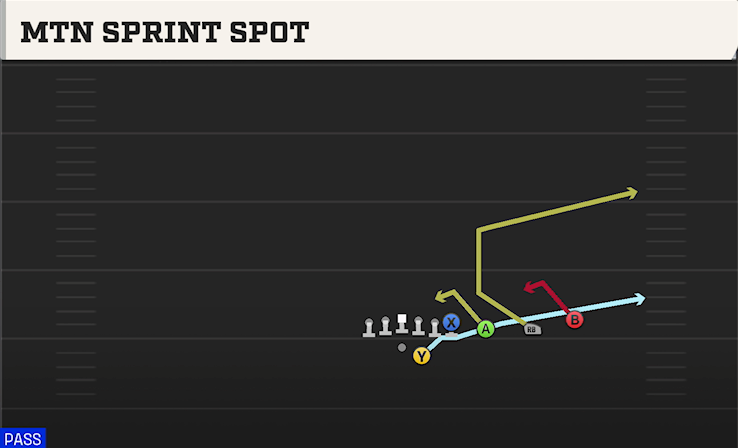 MTN SPRINT SPOT play diagram College Football 27
