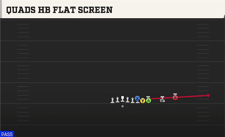 QUADS HB FLAT SCREEN play diagram College Football 27
