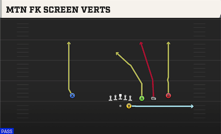 MTN FK SCREEN VERTS play diagram College Football 27