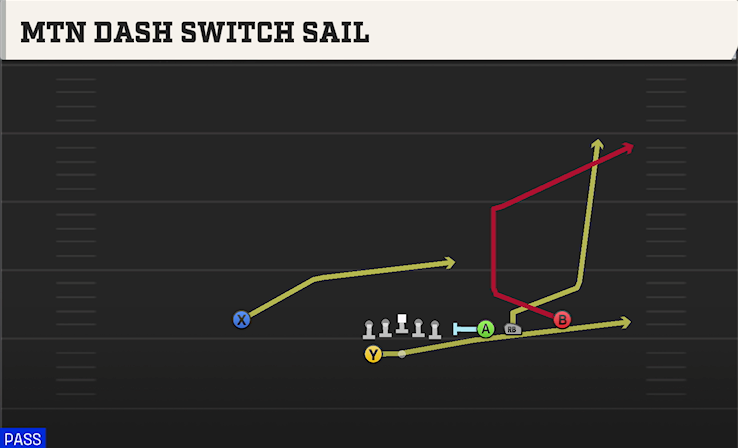 MTN DASH SWITCH SAIL play diagram College Football 27