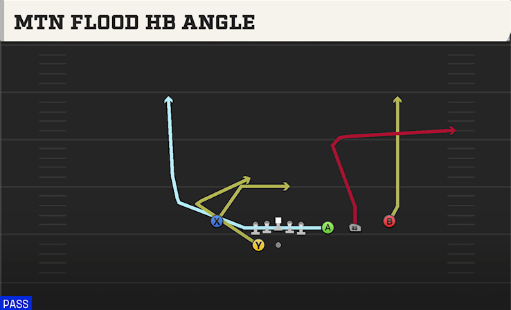 MTN FLOOD HB ANGLE play diagram College Football 27