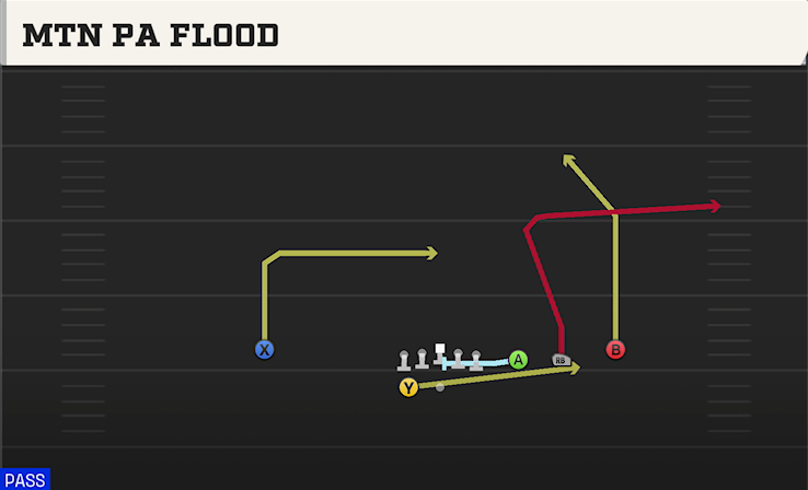 MTN PA FLOOD play diagram College Football 27