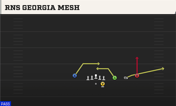 RNS GEORGIA MESH play diagram College Football 27