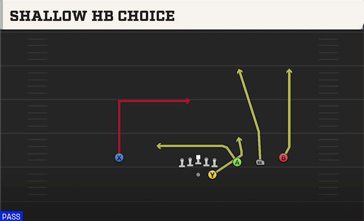 SHALLOW HB CHOICE play diagram College Football 27