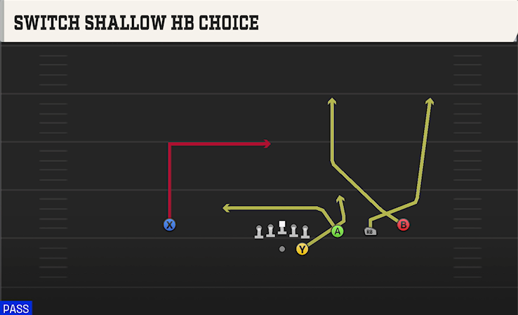 SWITCH SHALLOW HB CHOICE play diagram College Football 27