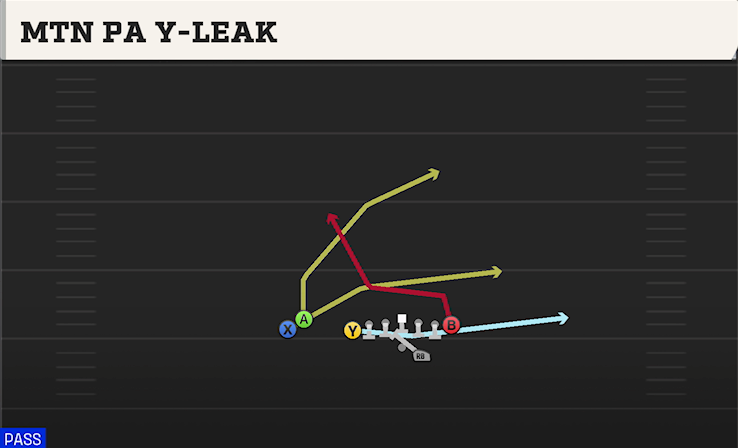 MTN PA Y-LEAK play diagram College Football 27