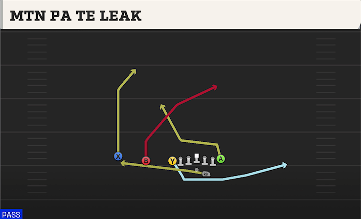 MTN PA TE LEAK play diagram College Football 27