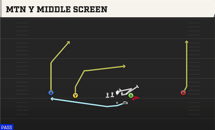 MTN Y MIDDLE SCREEN play diagram College Football 27