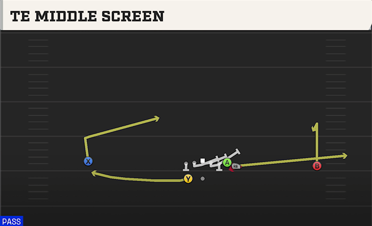 TE MIDDLE SCREEN play diagram College Football 27