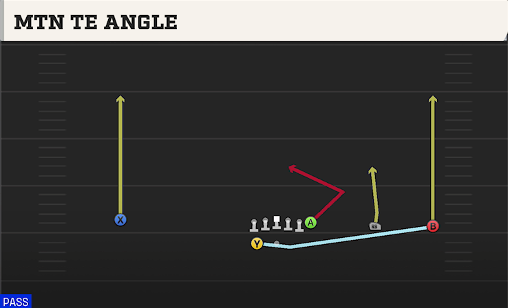 MTN TE ANGLE play diagram College Football 27