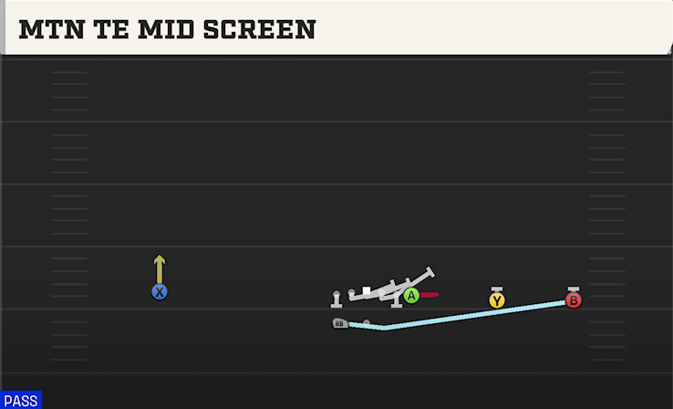 MTN TE MID SCREEN play diagram College Football 27